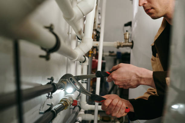 Best Drain Cleaning Services  in Albany, CA