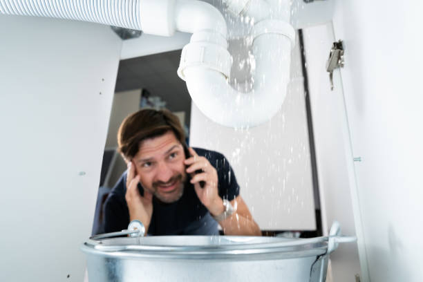 Best Sprinkler Systems  in Albany, CA